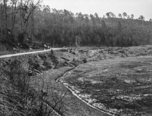 Am Waldrand : Blick aus einer Senke auf einen Waldrand
