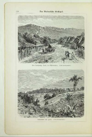 Ein Kampong (Dorf) in Ostsumatra
