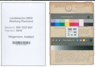 Entnazifizierung Adalbert Wiegemann , geb. 13.11.1904 (Kaufmann)