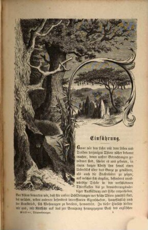 Wohnungen, Leben und Eigenthümlichkeiten in der höheren Thierwelt