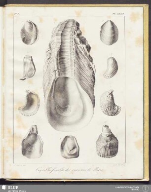 Pl. LXIII