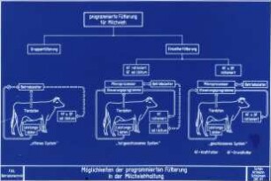 Möglichkeiten der programmierten Fütterung in der Milchviehhaltung