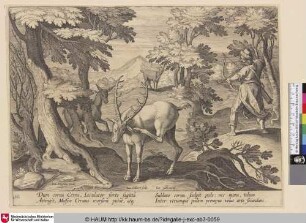 [Hirschjagd mit Pfeil und Bogen; Deer hunt with bow and arrow]