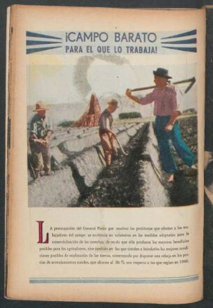 ¡Campo barato para el que lo trabaja!