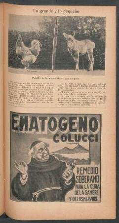 Lo grande y lo pequeño