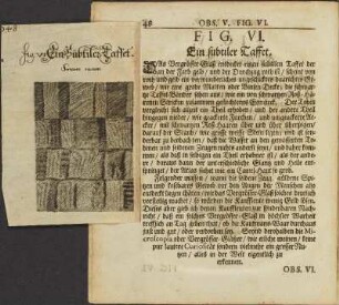 Illustration 25: fig: VI