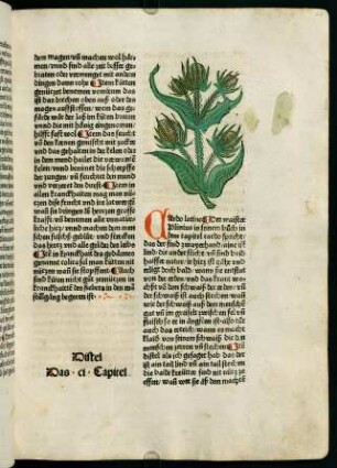 63r-63v, Distel (101. Kapitel)