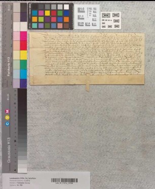 Revers des Knappen Hermann von Volmerunhusen über die vom Abt Franz von Corvey ihm übertragenen Lehngüter zu "Menrichusen" in der Herrschaft Waldeck.