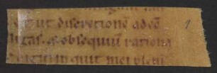 Sermones in Canticum Salomonis (Fragm., 12. Jh., 2. Hälfte)