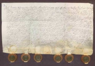 Instrumentum probationis des Grafen Johann Nepomuk von Montfort.