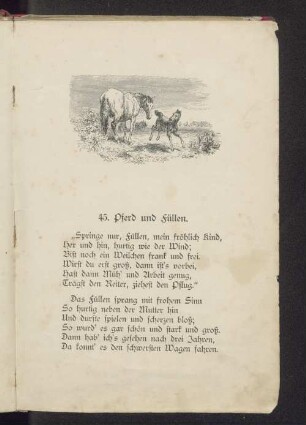 45. Pferd und Füllen.