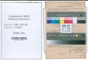 Entnazifizierung Ilse Krebs , geb. 30.04.1903 ()