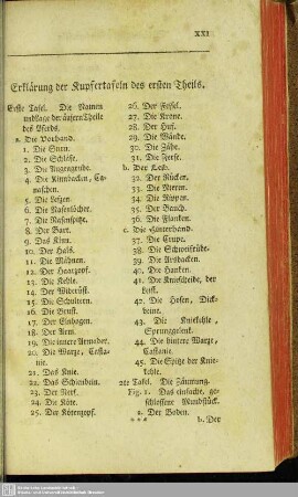 Erklärung der Kupfertafeln des ersten Theils