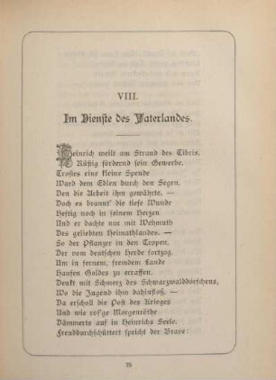 VIII. Im Dienste des Vaterlandes.