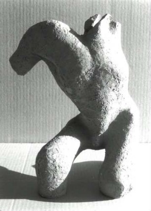 Männlicher Torso