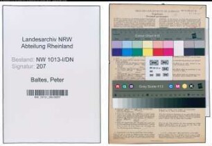 Entnazifizierung Peter Baltes , geb. 09.06.1883 (Studienrat)
