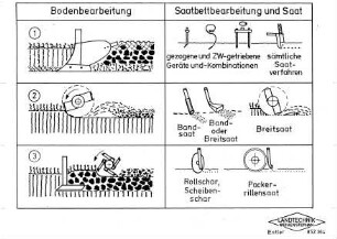 Bodenbearbeitung, Saatbettbearbeitung und Saat