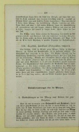 Schlußbetrachtungen über die Pflanzen