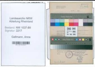 Entnazifizierung Anna Gallmann , geb. 15.12.1894 (Kauffrau)