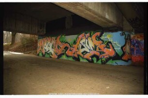 MOGLie AsiM | AsiM | ..ONE LoVE..