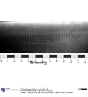 Pro Patria (Fragment)