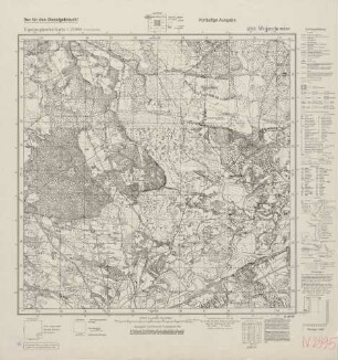 2895 Wojzechowize, Topographische Karte 1:25000 (4cm - Karte)