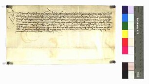 Mathis Beck d. J. von Rottweil, der von der Stadt Rottweil inhaftiert und wieder freigelassen wurde, schwört Urfehde.