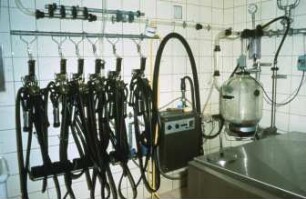 Fotografie: Melktechnik, Rohrmelkanlage, Melkzeug, Reinigungstechnik, Milchtank