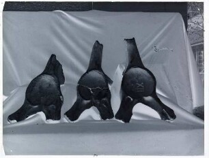 Fossilien aus der ersten Grabung, Mammuthus primigenius