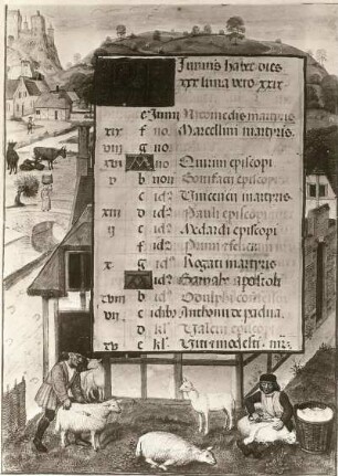 Bilderhandschrift "Brevarium Bruckenthal" : Bilderhandschrift "Brevarium Bruckenthal" (1501/1600). Einzelseite mit Text und Schafschur. Hermannstadt (Siebenbürgen): Bruckenthal'sches Museum