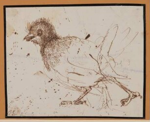 Vogeljunges [aus der "geblümten Kassette"]