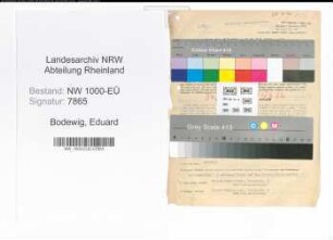 Entnazifizierung Eduard Bodewig, geb. 20.03.1900 (Stadtinspektor)