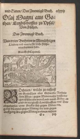 Olai Magni ... Von Fischen. Das Zwentzigst Buch.