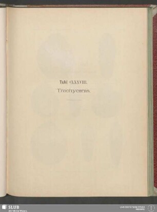 Tafel CLXXVIII. Trachyceras