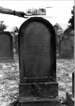 Grabstein 231 (Index: 99797709) Material: Sandstein, weiß Zustand: leicht verwittert Maße HxBxT: 110x45x10 cm Beschreibung: Stele, Rundbogenabschluß, Sockel: Grabstein 231