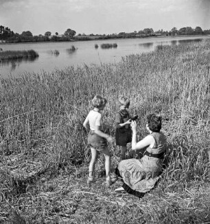 Stenzerteich: vorn Schilf: rechts Ellen Marfels mit Sohn Ole und Tochter Birgit: hinten Baumreihen