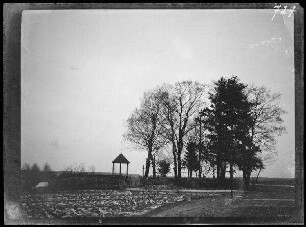 Geluty (=Gilûtos, Litauen): Friedhof (Außenansicht) (Russischer Friedhof bei Geluty. Winter 1915/1916")