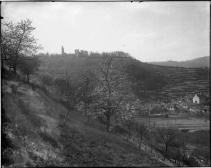 Limburg an der Haardt Landschaftsbild im Hintergrund befindet sich die Klosterruine Limburg