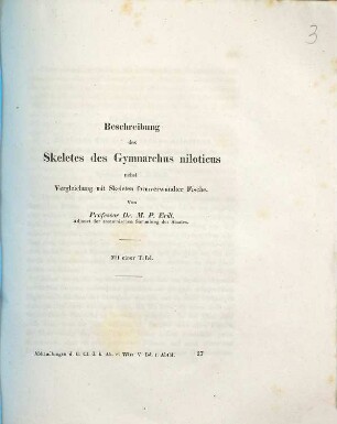 Beschreibung des Skeletes des Gymnarchus niloticus nebst Vergleichung mit Skeleten formverwandter Fische