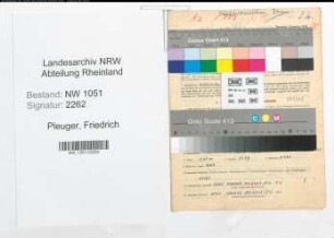 Entnazifizierung Friedrich Pleuger , geb. 10.12.1868 (Beamter)