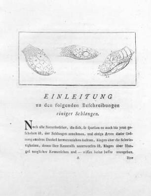 Einleitung zu den folgenden Beschreibungen einiger Schlangen