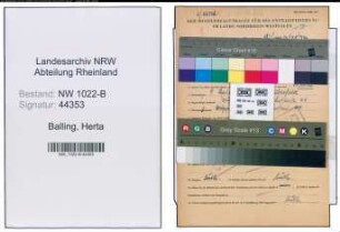 Entnazifizierung Herta Balling , geb. 09.09.1906 (Verkaeuferin)