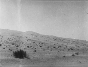Düne im Yuma Desert (USA-Reise 1933)