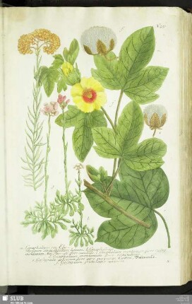 N. 551 - 600