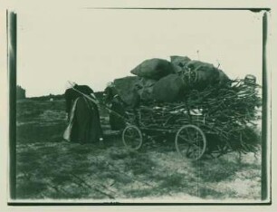 Zwei Frauen ziehen einen holzbeladenen Karren, Blick auf Charlottenburg III