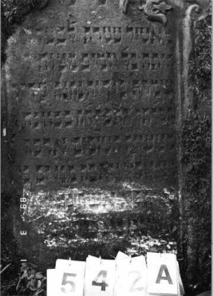 Grabstein 542 (Index: 99752998) Material: Sandstein Zustand: verwittert mit Textverlust Maße HxBxT: 112x67x9 cm Beschreibung: Stele, in Voluten auslaufender eingezog. Rundbogenabschl. , Schriftfeld eingetieft Symbolik: Muschel, Lilien, Voluten: Grabstein 542A