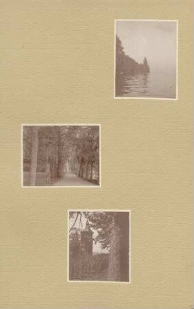 oben: Blick vom Bodensee auf die Insel Mainau (?) Mitte: Allee auf der Insel Mainau (?) unten: Schwedenturm auf der Insel Mainau (?)