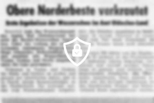 Obere Norderbeste verkrautet