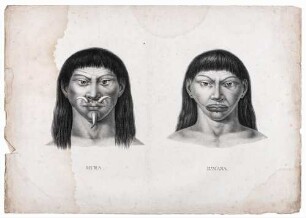 Atlas zur Reise in Brasilien von Dr. v. Spix und Dr. v. Martius - Mura, Jumana