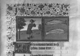 Stundenbuch Karls V. — Monatsblatt Februar und Tierkreiszeichen Fische, Folio 194